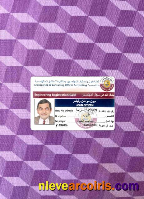 Qatar engineering registration card photolook